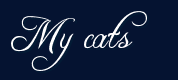 My cats